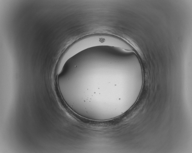 X0000111850485200908131442