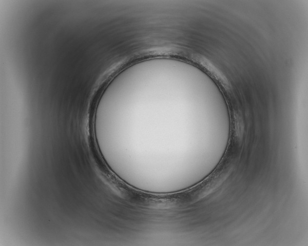 X0000111850486200908131442