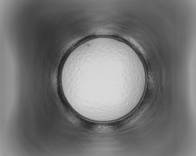 X0000111850487200908131442