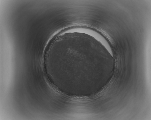 X0000111850488200908131442