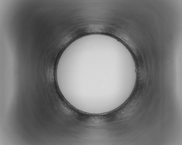 X0000111850489200908131442