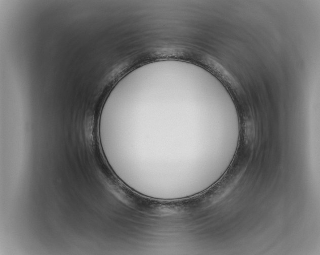 X0000111850490200908131442