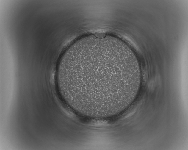 X0000111850491200908131442