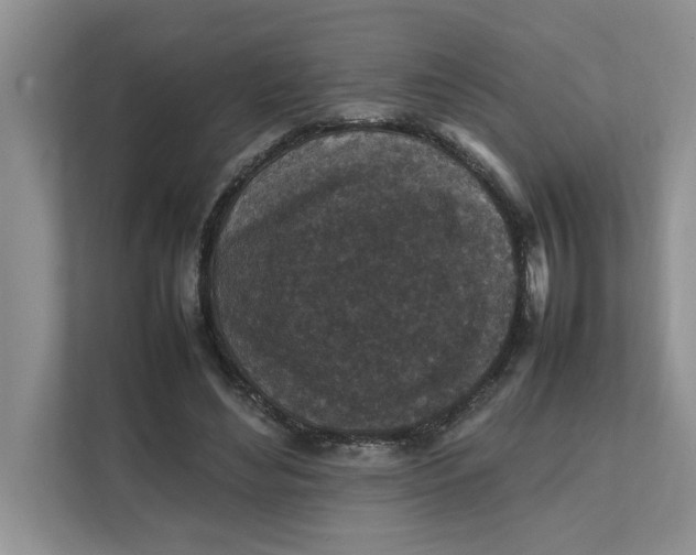 X0000111850492200908131442