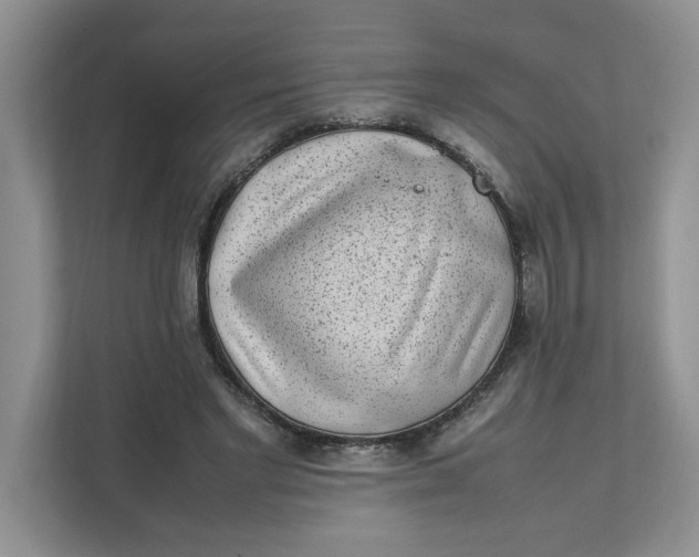 X0000111850493200908131442