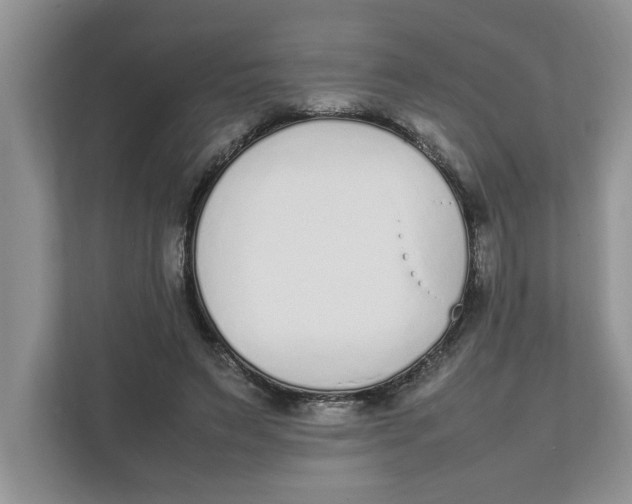 X0000111850495200908131442