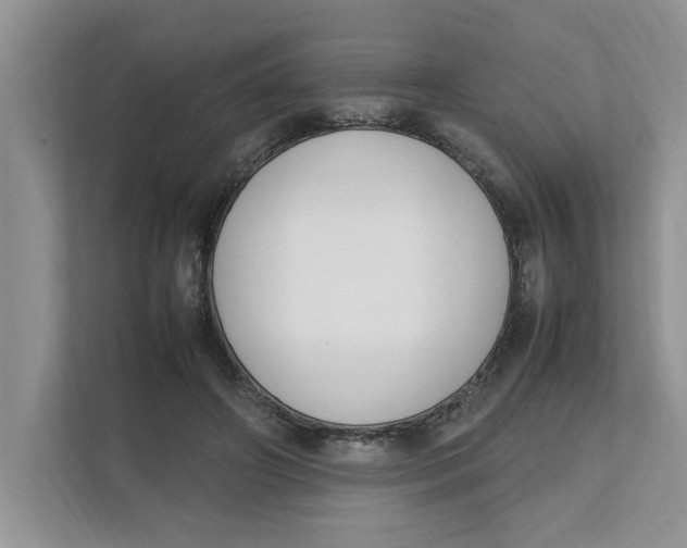 X0000111850498200908131442