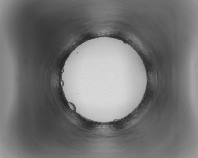 X0000111850499200908131442