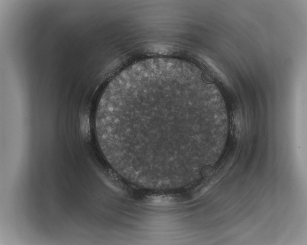 X0000111850500200908131442