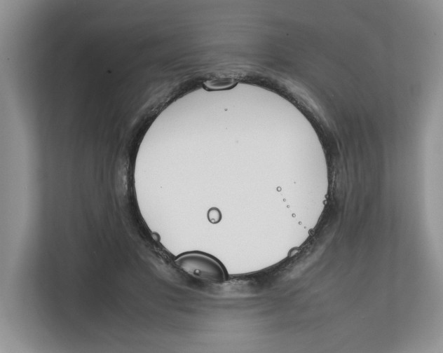 X0000111850501200908131442