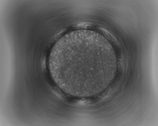 X0000111850504200908131442