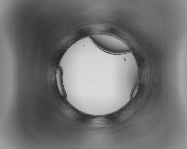 X0000111850505200908131442