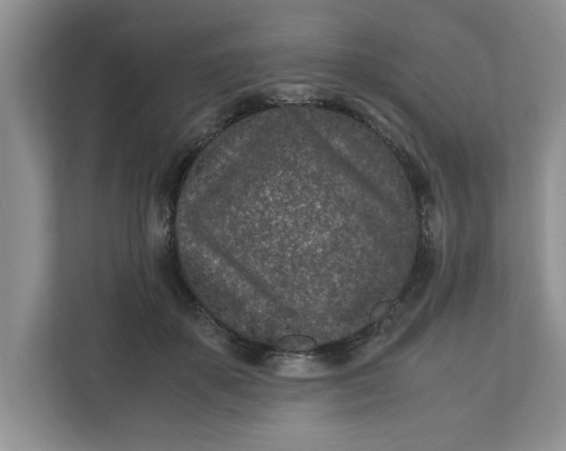 X0000111850507200908131442