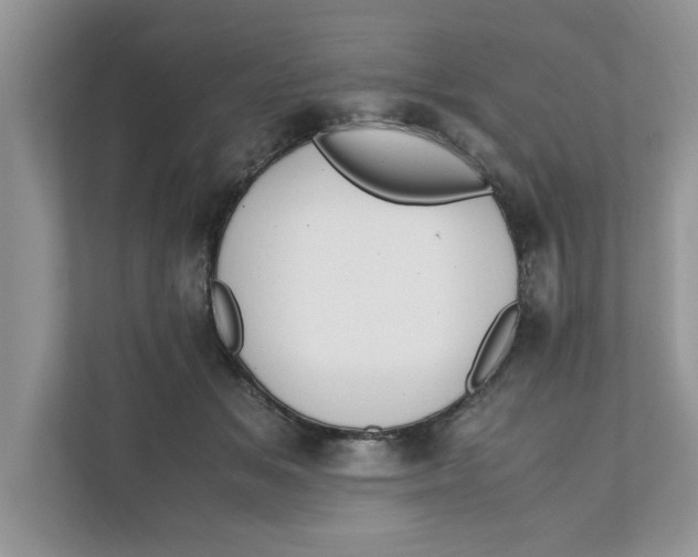 X0000111850509200908131441