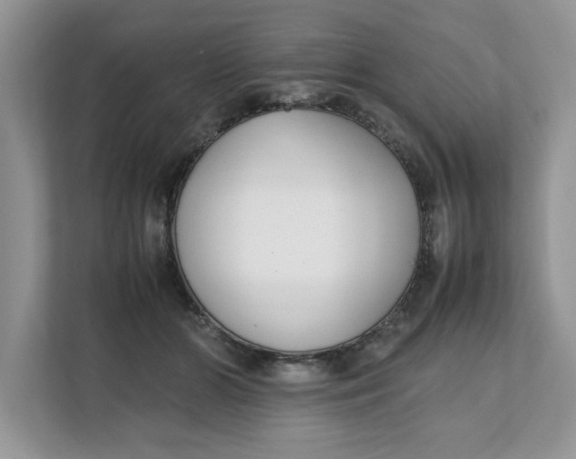 X0000111850510200908131441