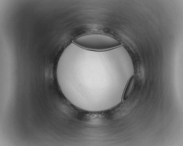 X0000111850512200908131441