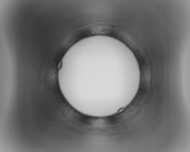 X0000111850513200908131441