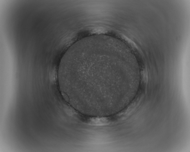 X0000111850517200908131441