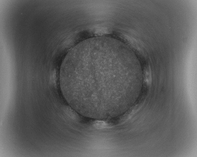 X0000111850519200908131441