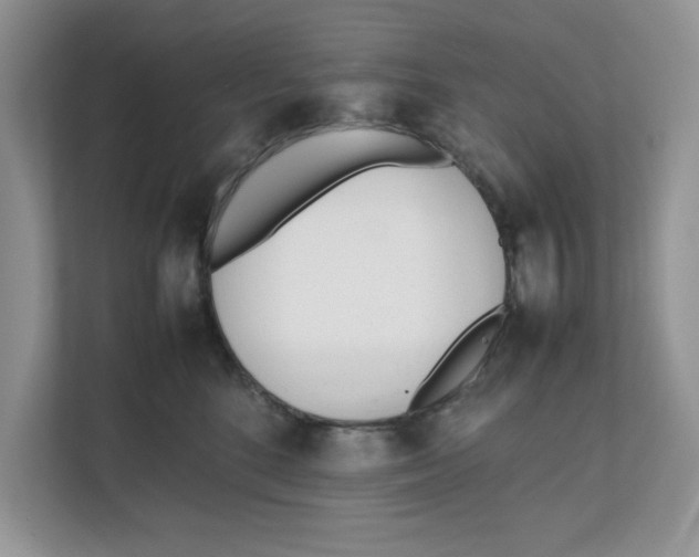 X0000111850520200908131441