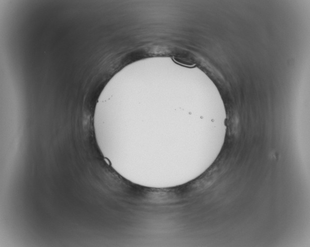 X0000111850521200908131441