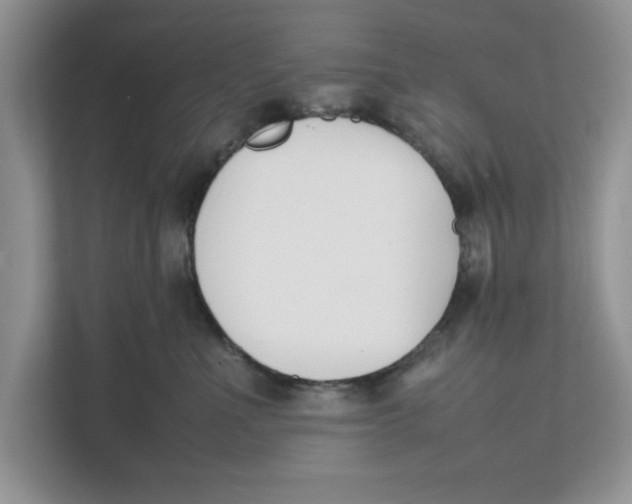 X0000111850523200908131441