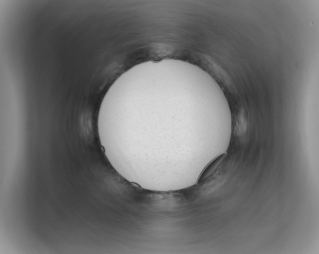 X0000111850524200908131441