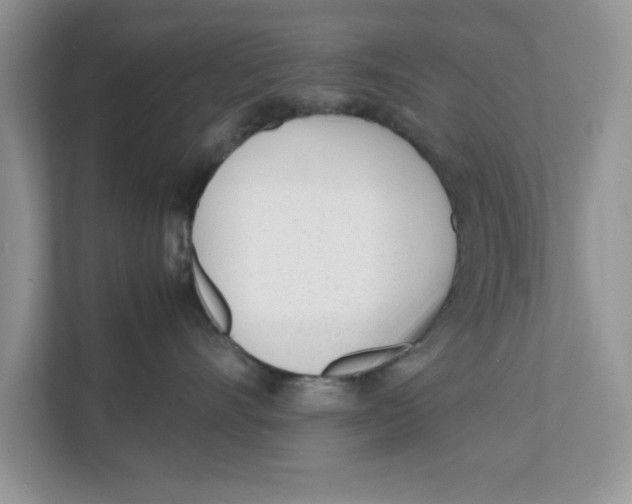 X0000111850528200908131441