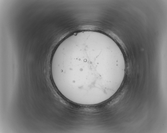 X0000111850529200908131441