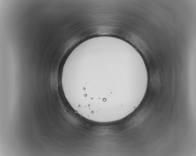 X0000111850530200908131441