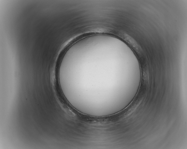 X0000111850532200908131441