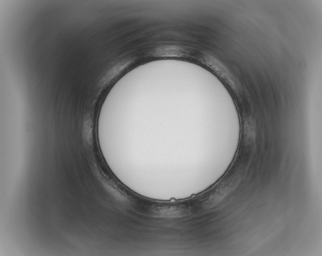 X0000111850533200908131441