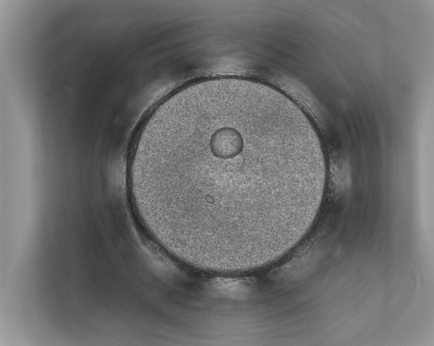 X0000111850534200908131441