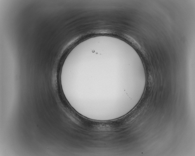 X0000111850535200908131441