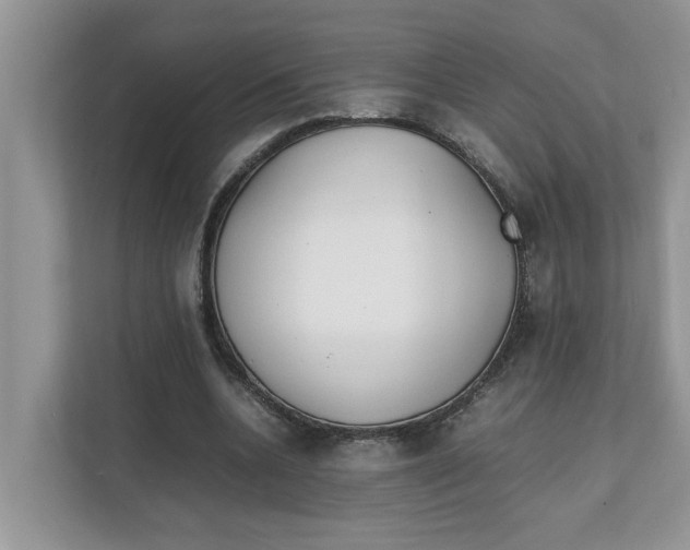 X0000111850536200908131441