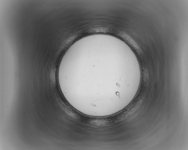 X0000111850537200908131441