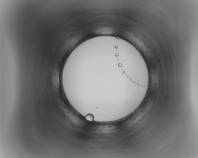 X0000111850541200908131441