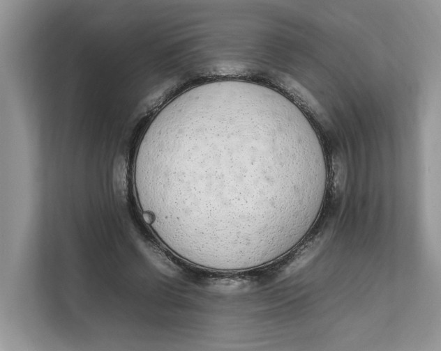 X0000111850542200908131441