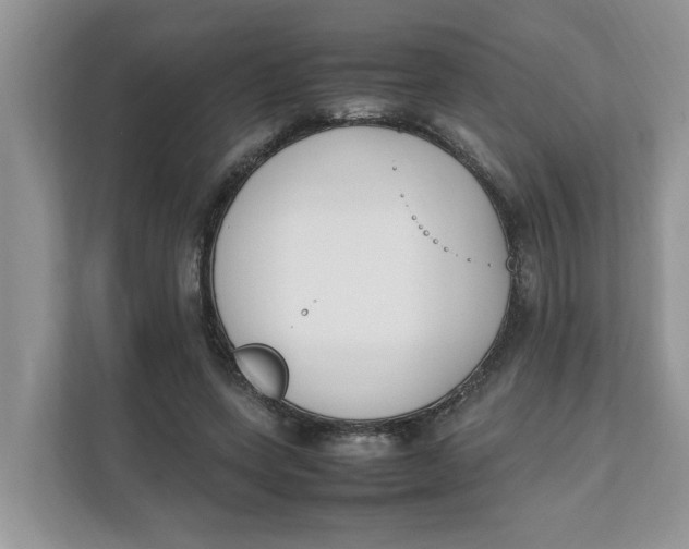 X0000111850543200908131441