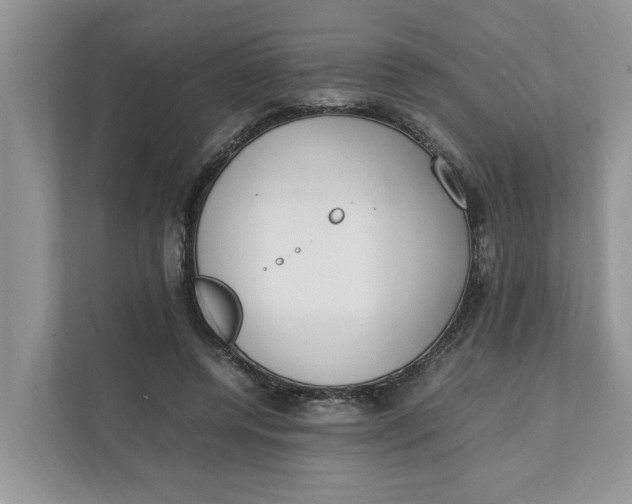 X0000111850544200908131441