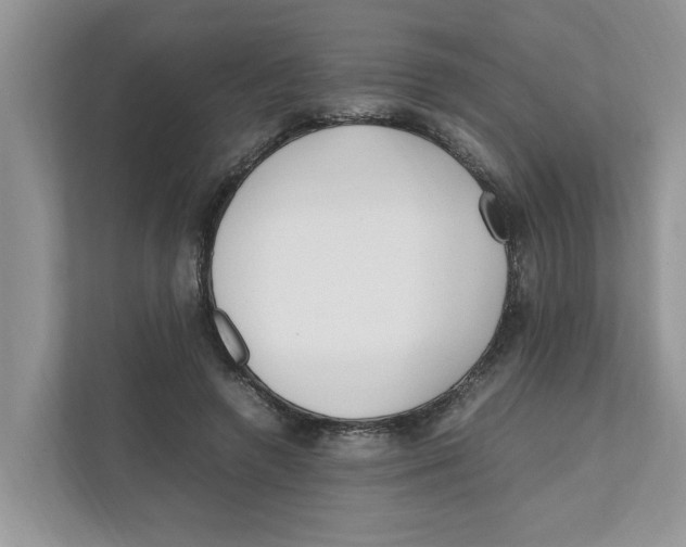 X0000111850546200908131441