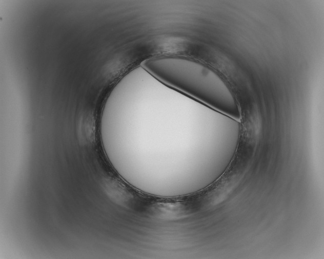 X0000111850552200908131441