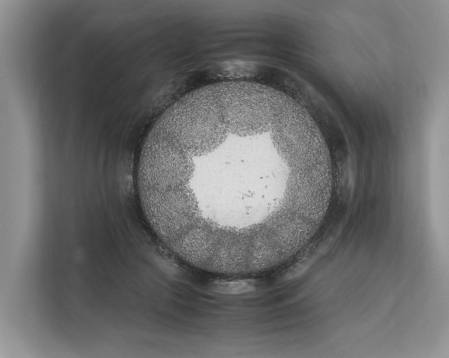 X0000111850553200908131441