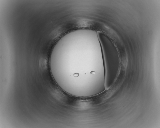 X0000111850556200908131441