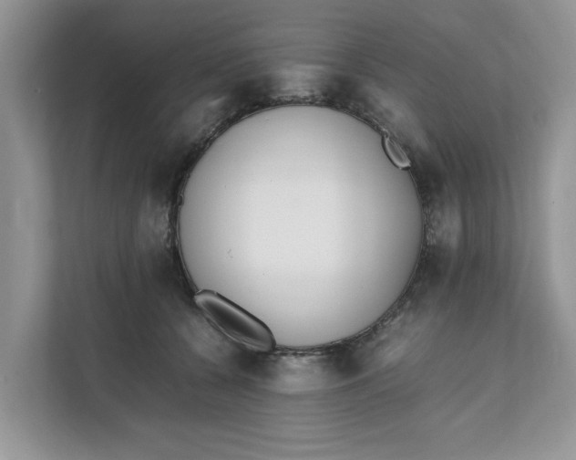 X0000111850560200908131441