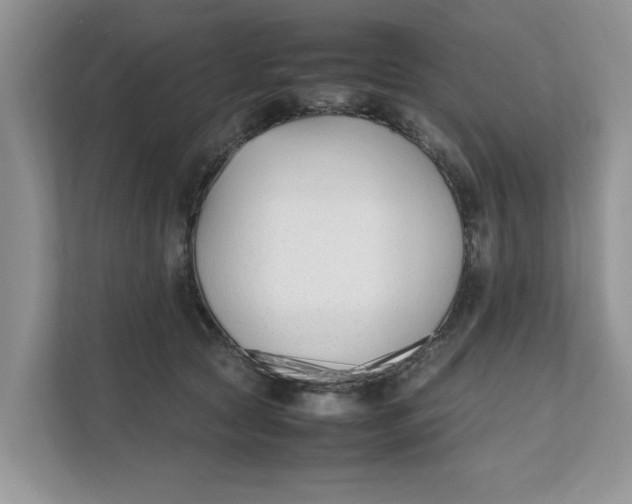 X0000111850561200908131441