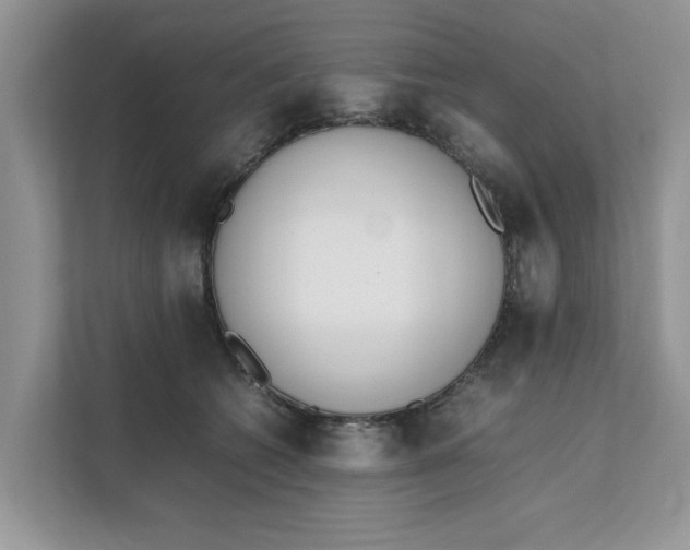 X0000111850562200908131441