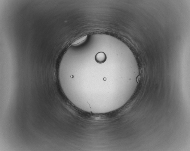 X0000111850564200908131441