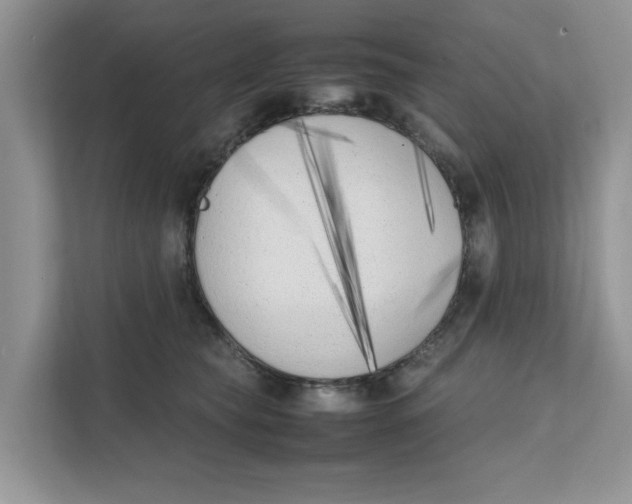 X0000111850565200908131441