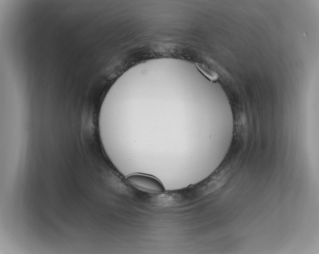 X0000111850566200908131441